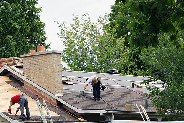 Best Roof Gutter Cleaning  in Emerson, GA